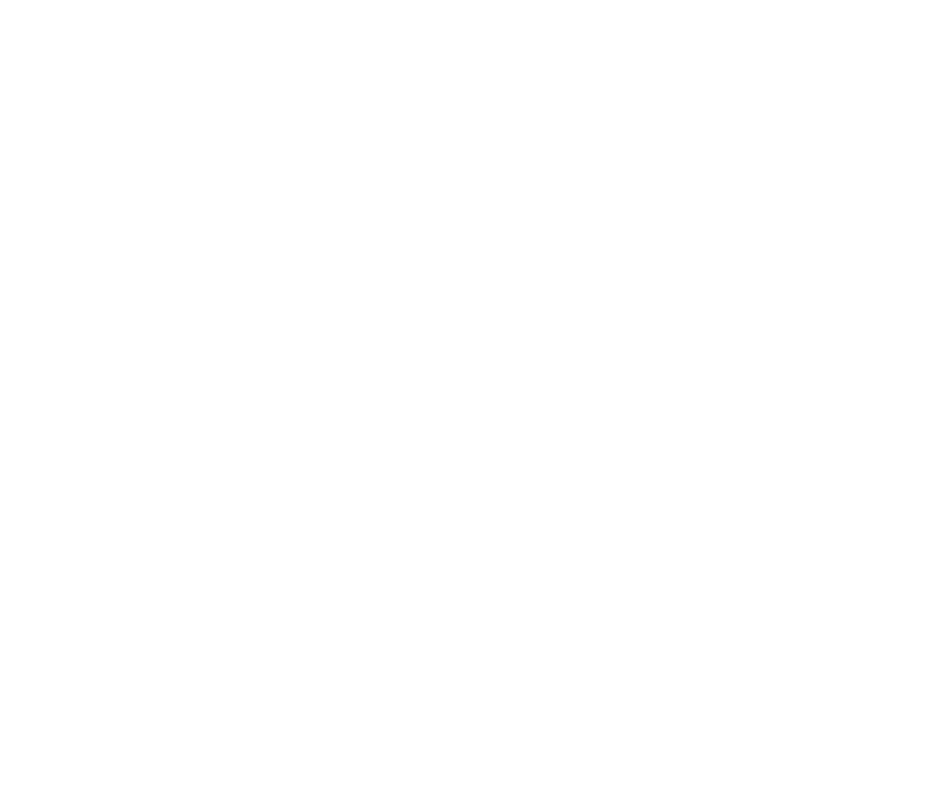 North Tahoe Community Alliance Logo White Transparent