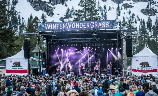 What's Trending - WinterWonderGrass