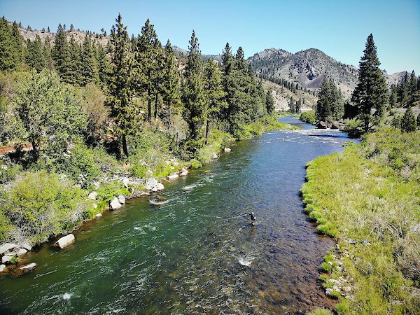 Fishing Lake Tahoe Matt Heron's Fly Fishing