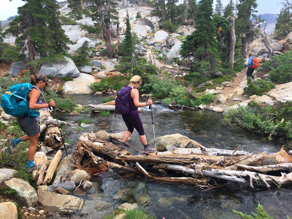 Tahoe Rim Trail Log Crossing